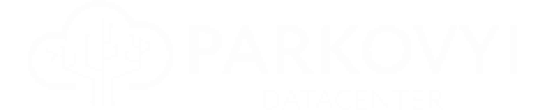 Parkovyi Datacenter