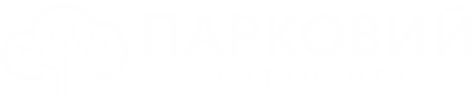Parkovyi Datacenter